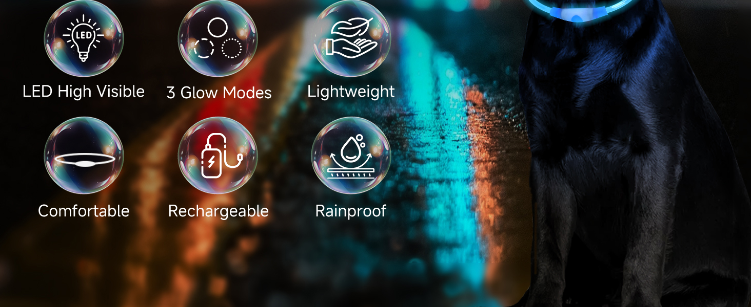 a+2蓝色 拷贝.jpg