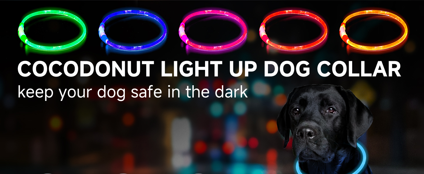 a+1蓝色 拷贝.jpg