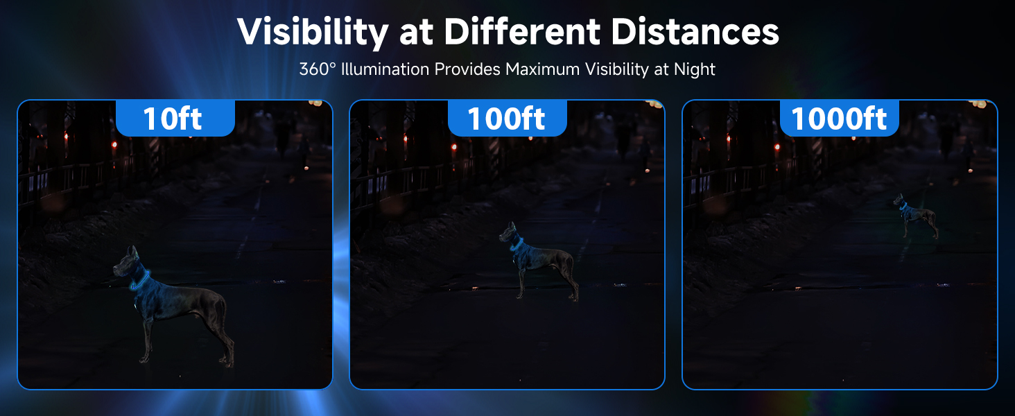 a+6-蓝色 拷贝.jpg